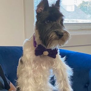 Meet your Posher, Kim